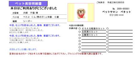 写真付きのペット美容明細書